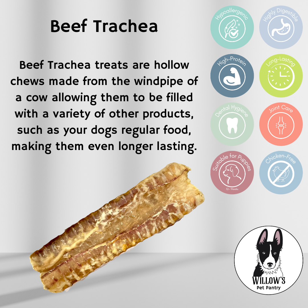Beef Trachea "Gullet"