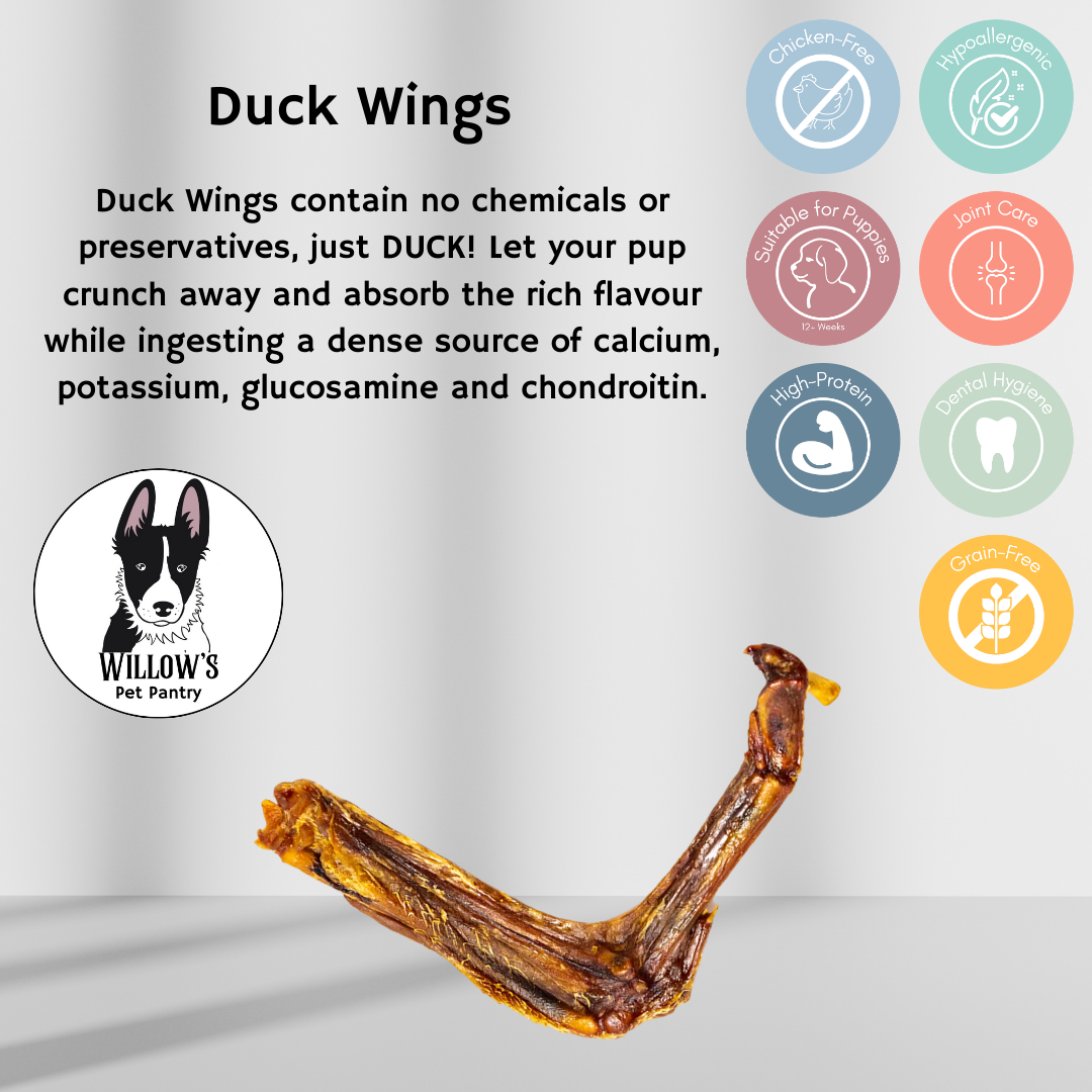 Duck Wings