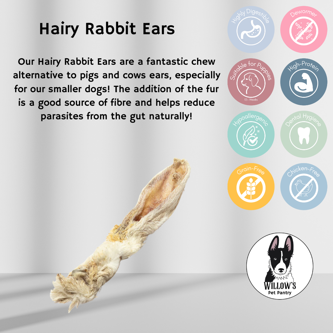 Rabbit Ears (Hairy)