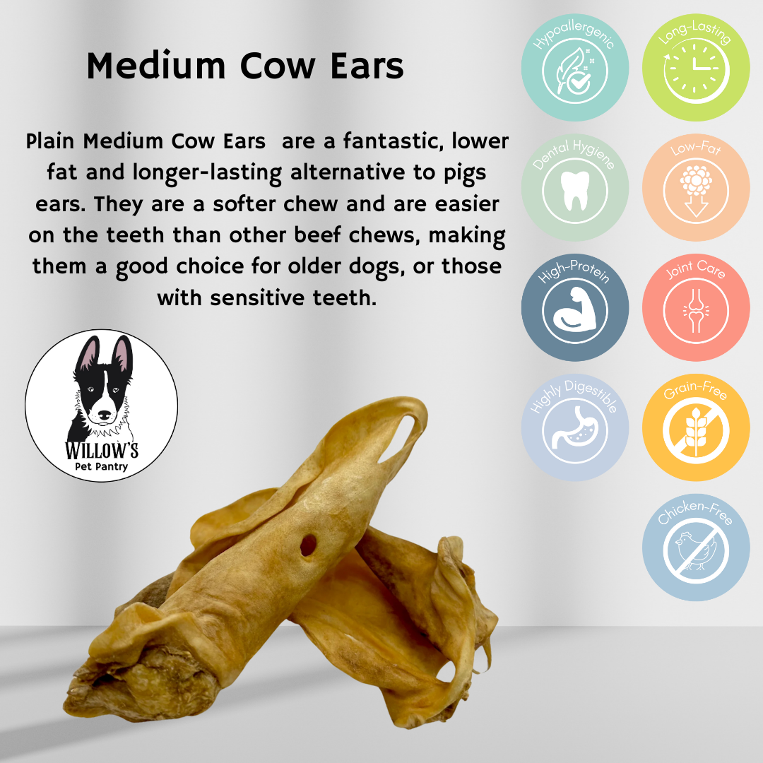 Plain Cow Ears (Medium)