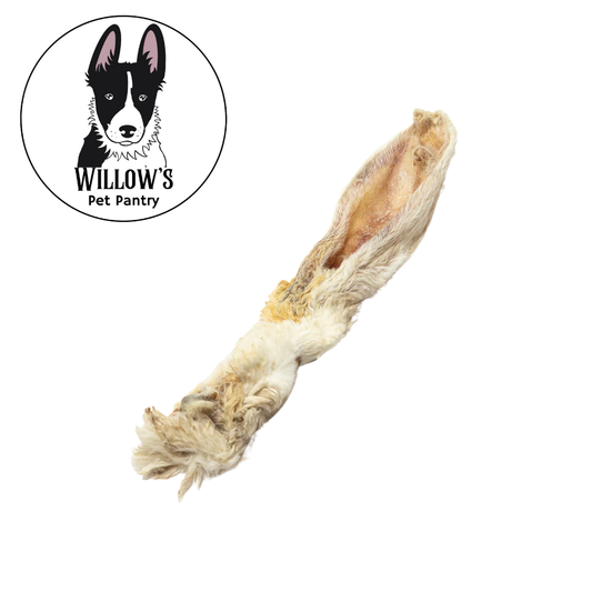 Rabbit Ears (Hairy)