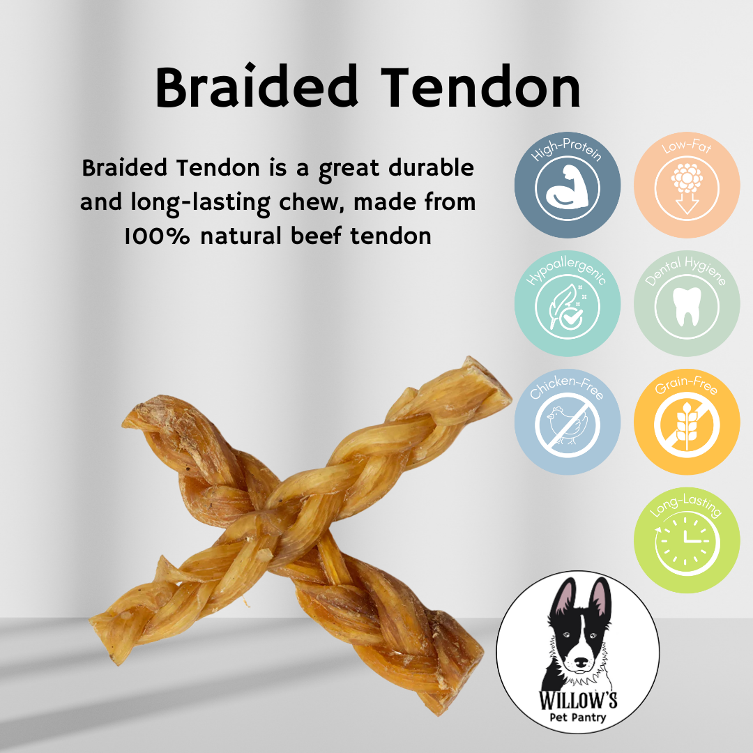 Braided Tendon