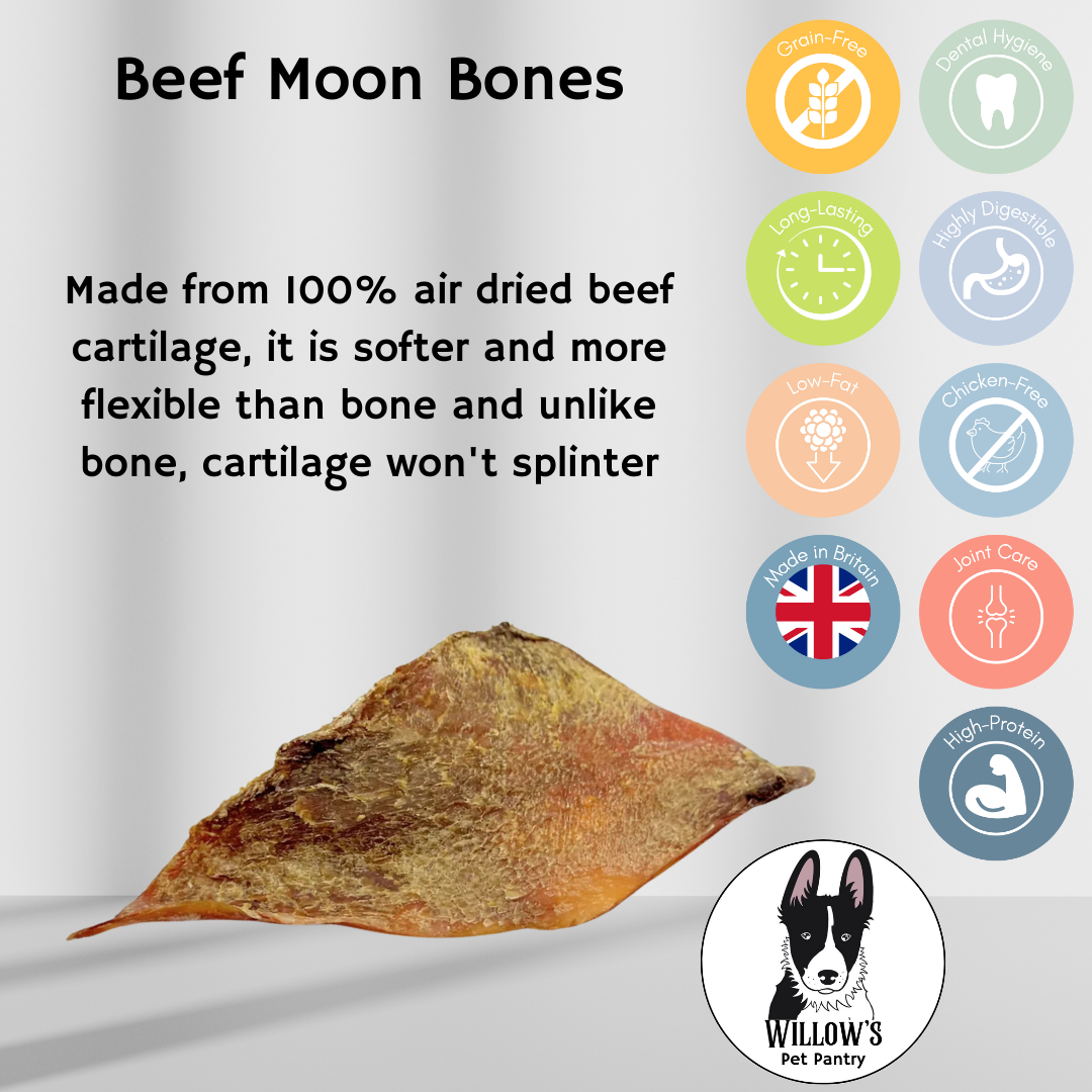 Beef Moon Bones